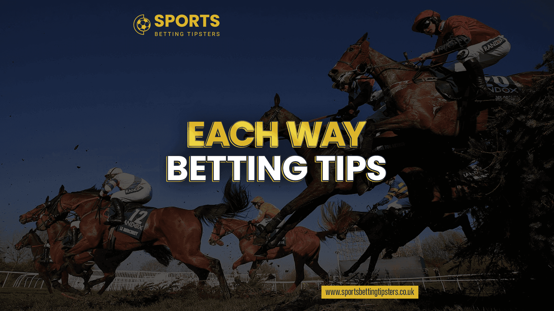 Each Way Horse Racing Betting Tips