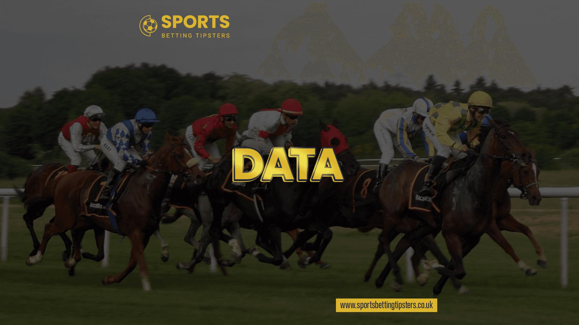 Horse Racing Data