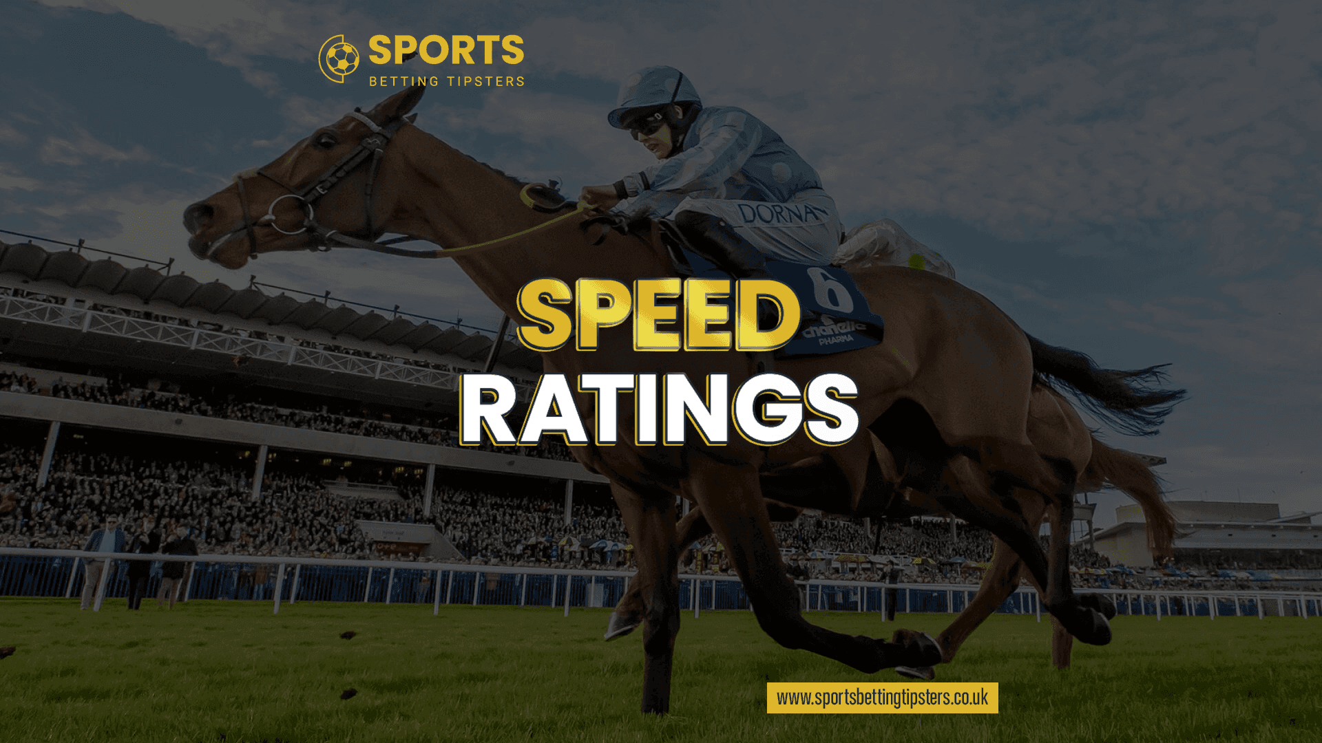 Speed Rating Horse Racing