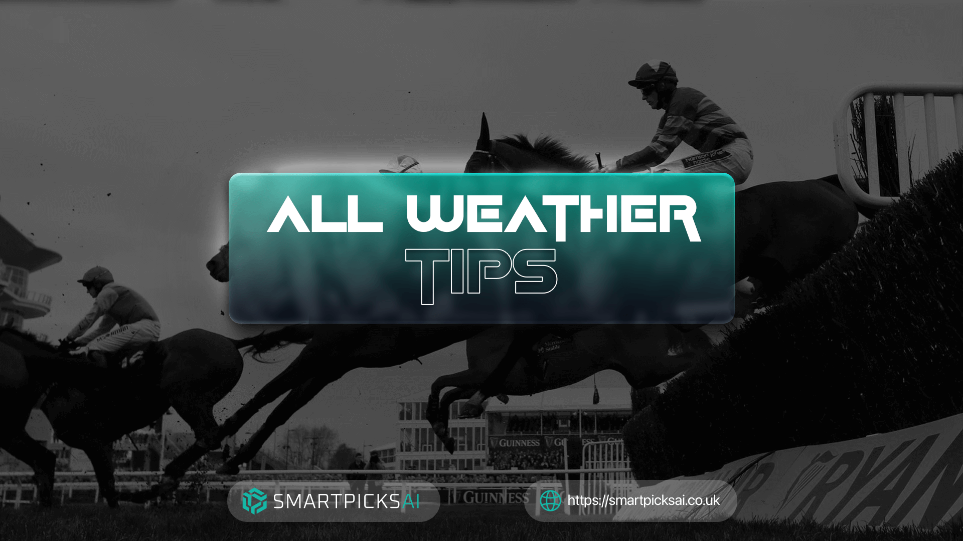 all weather tips