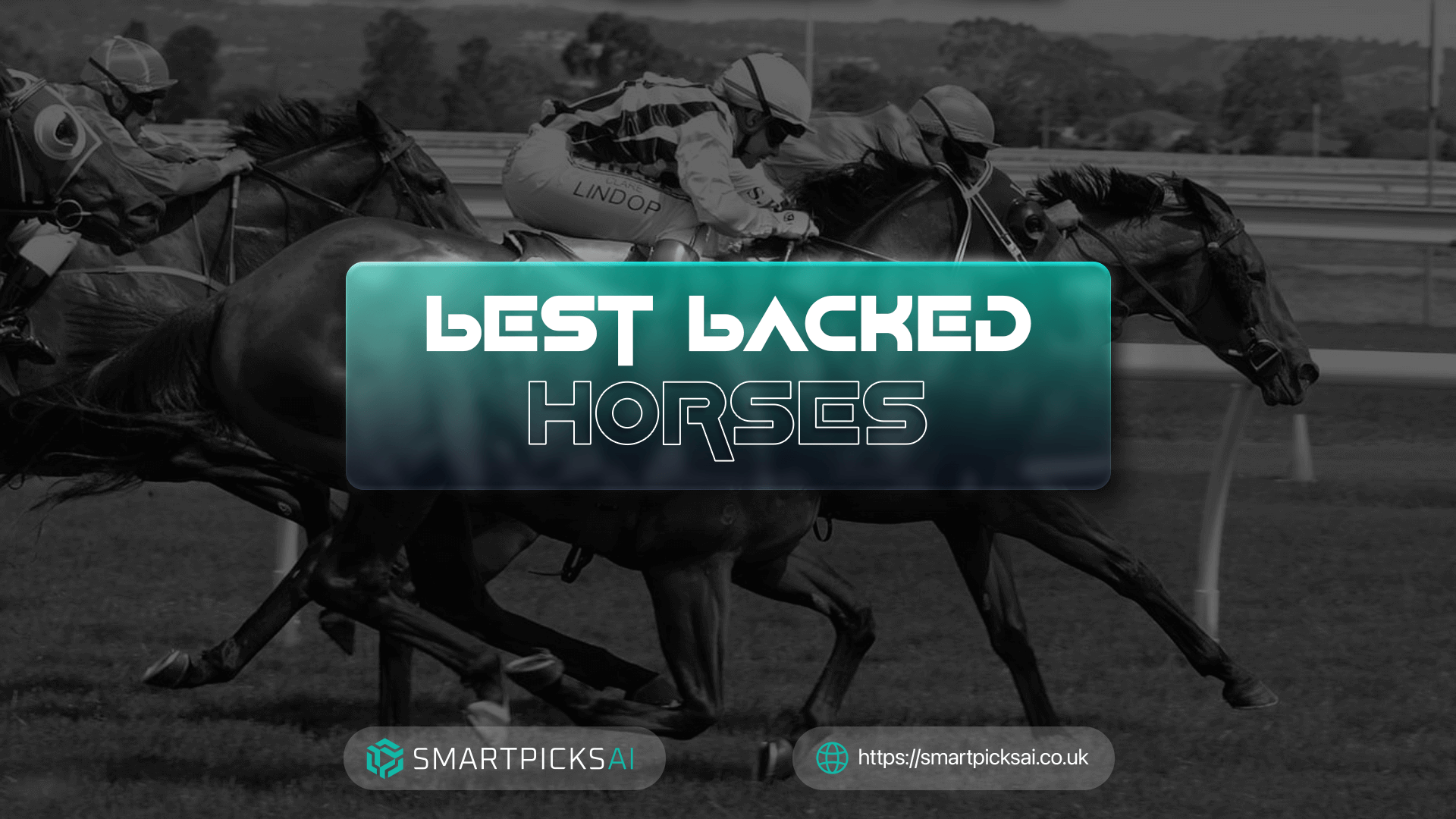 Best Backed Horses